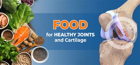 Joint-friendly fuel: Top foods for healthy cartilage